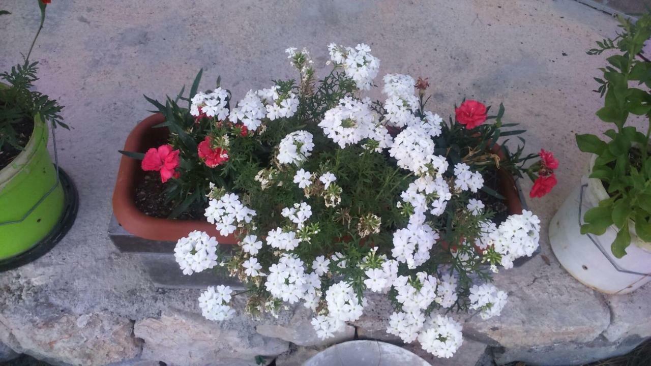 Apartmants Jusic Opatija